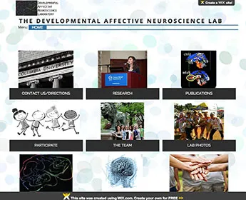 Tottenham: Developmental Affective Neuroscience Lab