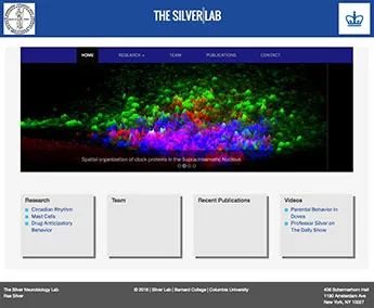 Silver: Silver Neurobiology Lab