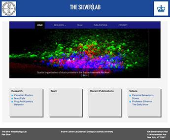Silver: Silver Neurobiology Lab